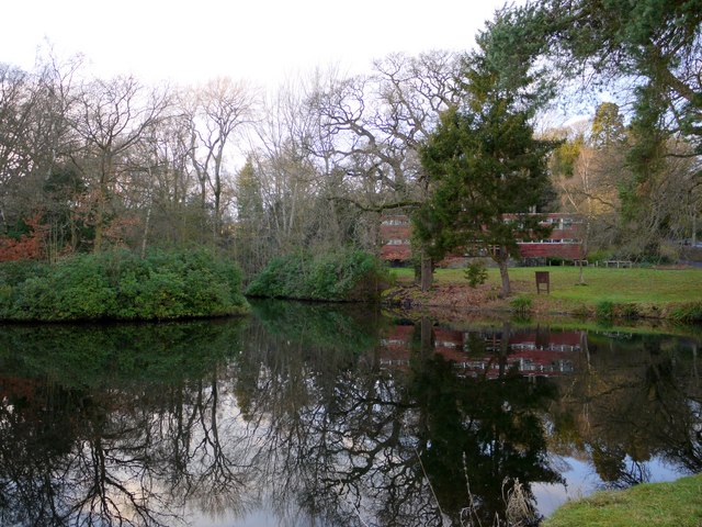 Old fish-pond south-west of Close House mansion