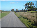 Lane at Castlemorton Common