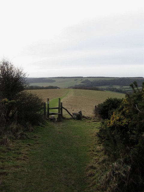 Footpath To Jevington © Simon Carey :: Geograph Britain And Ireland