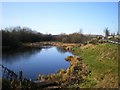 Pool at Fibbersley Nature Reserve