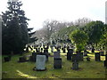 Another corner of Chislehurst Cemetery