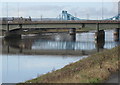 The two Queensferry bridges and a swan