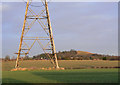 Croft Hill from Pingle Lane