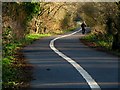 Path near Newforge Lane