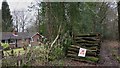 Timber stack on the Sussex Border Path