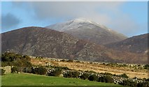 J3422 : Mourne Mountains from Carrick Little by Rossographer