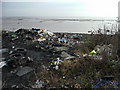 Rubbish on the shoreline