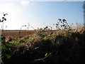 Fields south of  Prior