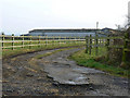 Track to Seven Bridges Farm, near Cricklade