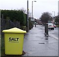 Salt bin