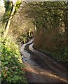 Lane to Chipley Mill