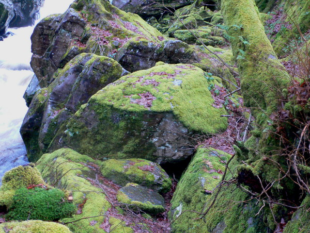 Moss covered rocks by the River Conwy © Eirian Evans cc-by-sa/2.0