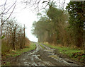 The Fields House, farm track