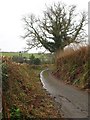 Bridleway near Hendra Bridge