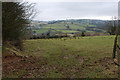 Field south of Pant-gl