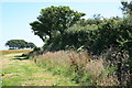 SX1857 : The Giant's Hedge, near Lanreath by Adrian Platt
