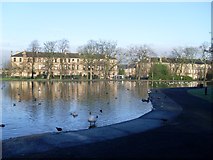 NS5762 : Duck pond in Queen's Park by Stephen Sweeney