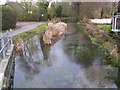 Stream in Bulford