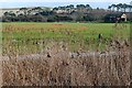 Budleigh Salterton cricket club