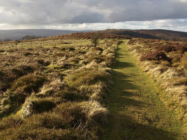 Path on Lydeard Hill