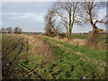 Footpath along Grunty Fen Catchwater Drain