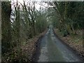 Lodge Lane, looking south.