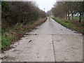 Bridleway to Gussage Hill