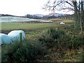 Flooding below East Cult farm