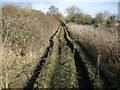 Fenland byway