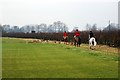 Belvoir Hunt and hounds