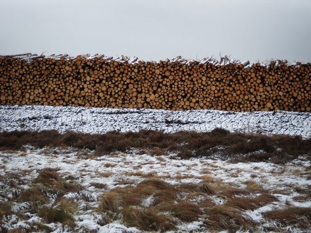 Stacked logs following clear-fell