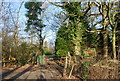 Entrance to Little Hall Pinetum & Woods