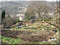 Allotments - Sandy Gate