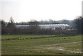 Large polytunnel, west of the Herne Bay Rd