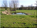 TM4486 : Pond near All Saints Church, Ellough by Geographer