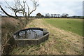 Cattle Trough