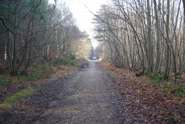 New Road, Thornden Wood © N Chadwick cc-by-sa/2.0 :: Geograph Britain ...