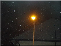TQ4388 : Snowflakes rushing past the lamp-post #2 by Robert Lamb