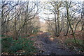 TR1463 : Footpath, Thornden Wood by N Chadwick