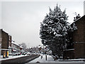 Charlton Road in the snow - 2