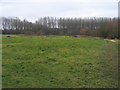 Field by Longbridge Lake