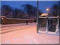 Bridge, Old Shoreham Road