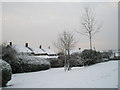 Rear of houses in Mortimer Road as seen from Church Field