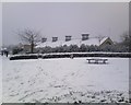 Snowy Glastonbury Thorn First School