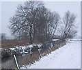 Wintry walk by the River Gipping