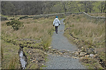 SD5349 : Footpath to Fell End from Grizedale Bridge by Tom Richardson