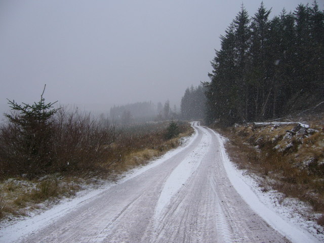 Track in Dalchork Wood