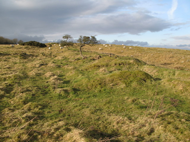 (The line of) Hadrian's Wall and (the site of) Turret 29b