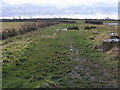 Bridleway off Wendover Road