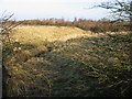 Land between the old Sandwich Road and the new A257